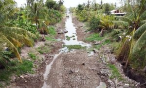 Đồng bằng sông Cửu Long: Nhiều giải pháp tình thế đảm bảo nước sạch- Ảnh 1.