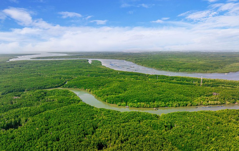 a2-15-1774527104092160191868-50-0-800-1200-crop-17745274319591226786664