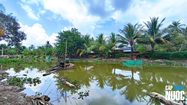 Cà Mau triển khai phương án ứng phó xâm nhập mặn theo cấp độ rủi ro - Ảnh 1.