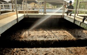 Bùn thải là sản phẩm phụ không thể tránh khỏi từ các quá trình xử lý nước cấp, nước thải.