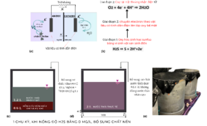 Nghiên cứu giảm thiểu ăn mòn sinh học trong hệ thống thoát nước đô thị bằng bê ông hỗ trợ chất dẫn điện - Ảnh 1.