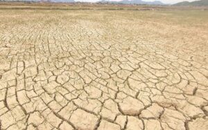 Nam Trung Bộ: Phải dừng sản xuất gần 1.500 ha lúa do thiếu nước - Ảnh 1.